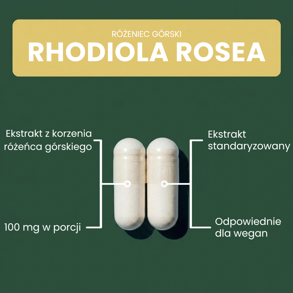 OsHerb Rhodiola Rosea Różeniec Górski  100 mg 3% Rozawin