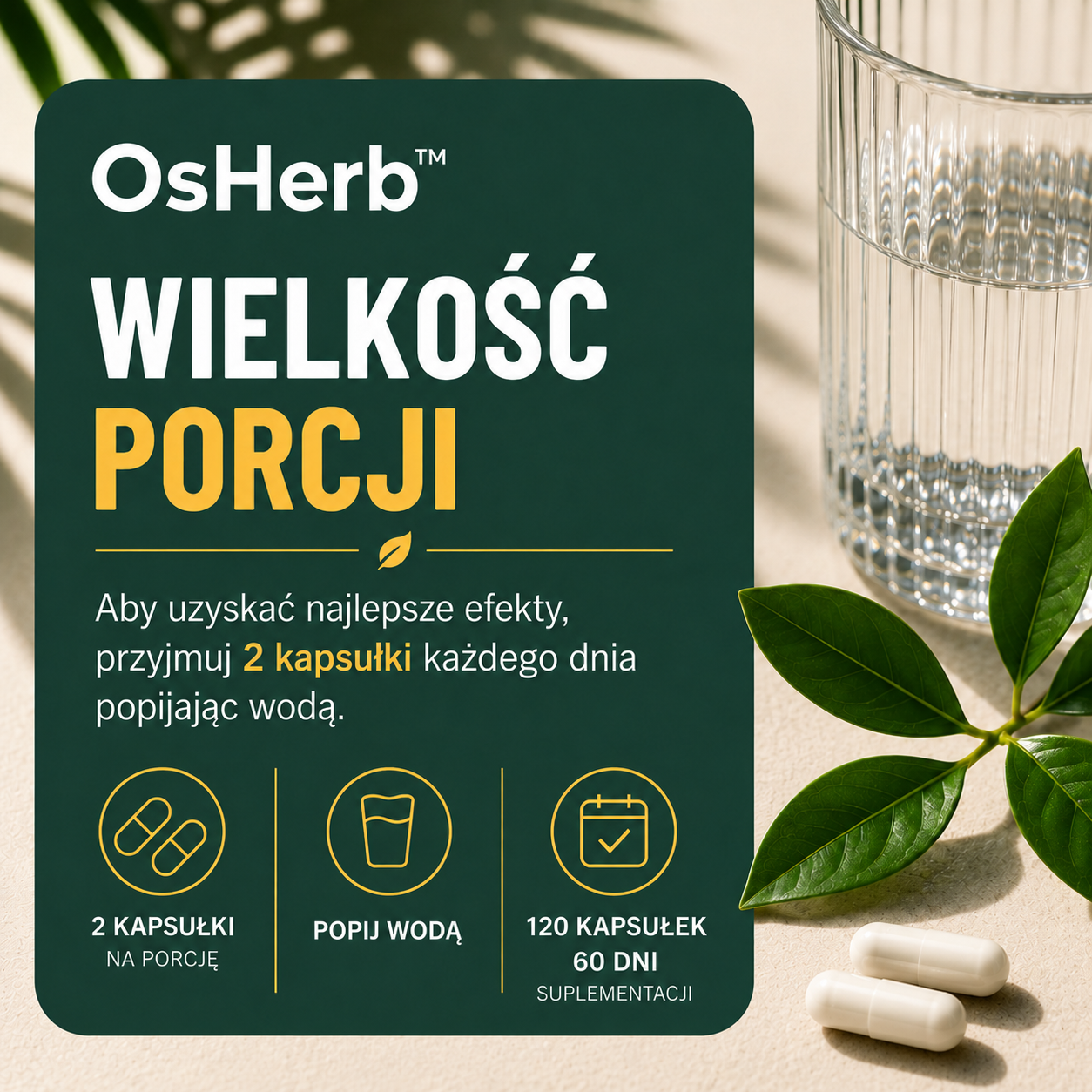 OsHerb Żeń-szeń Koreański Panax Ginseng 800 mg
