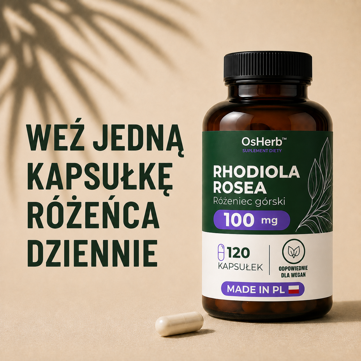 OsHerb Rhodiola Rosea Różeniec Górski  100 mg 3% Rozawin
