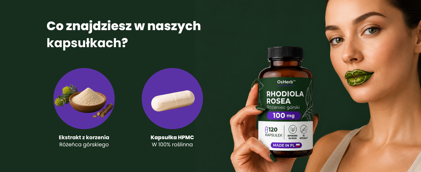 OsHerb Rhodiola Rosea Różeniec Górski  100 mg 3% Rozawin