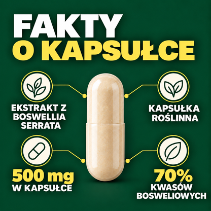 Boswellia serrata 500 mg 70%