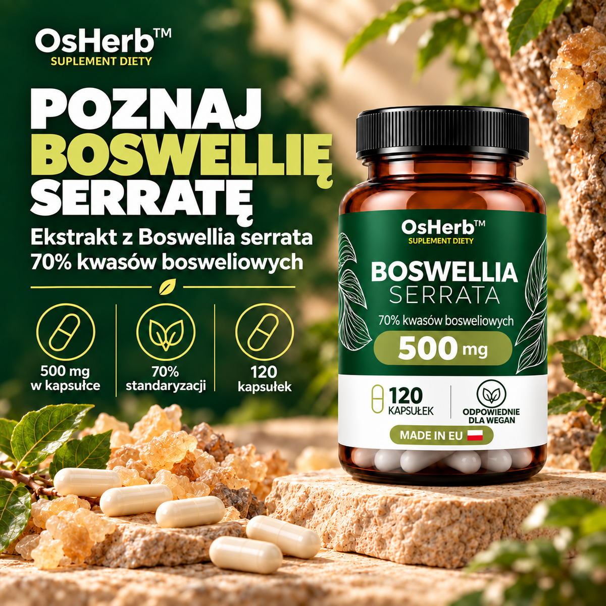 Boswellia serrata 500 mg 70%